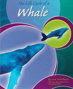 The Life Cycle of a Whale - Perma-Bound Books